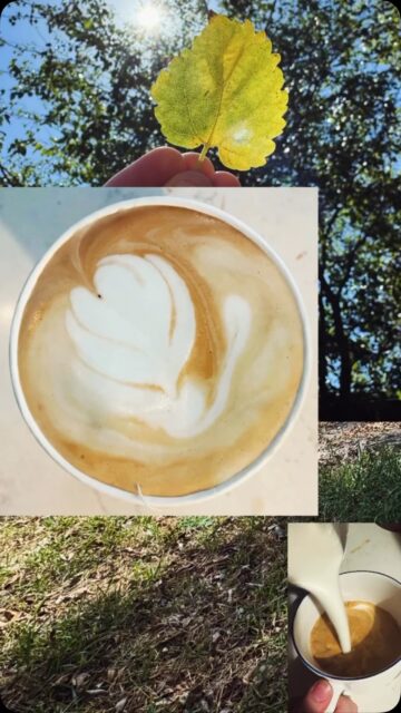 Stirring up those✨Fall Feelings🍂with a London Smog 🇬🇧 --> Earl Grey + steamed milk + vanilla syrup + espresso