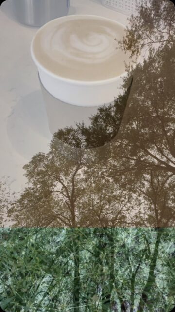 You look like you could use a cozy environment and something warm to drink 😏#lindaletx #coffee #rootsandroadsmentoring #community #etx